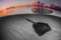   Amazing day Stingray SandbarChanged bottom bw thats real sunrise reflection  